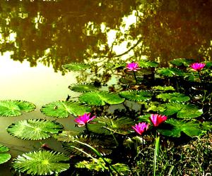 TASEK LAKE East Garo Hills, Songsak